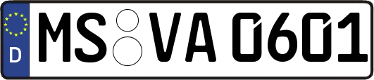 MS-VA0601