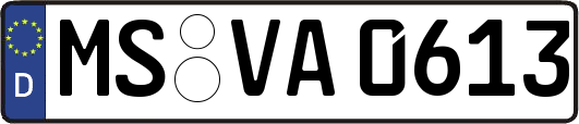 MS-VA0613