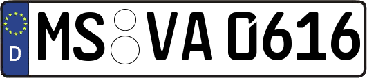 MS-VA0616