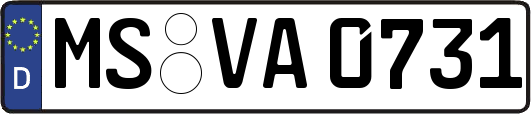 MS-VA0731