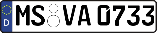 MS-VA0733