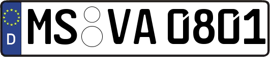 MS-VA0801