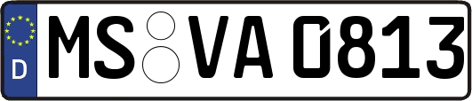 MS-VA0813