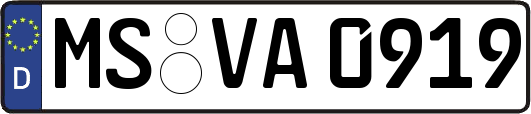 MS-VA0919