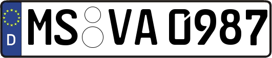 MS-VA0987