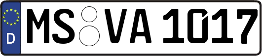 MS-VA1017