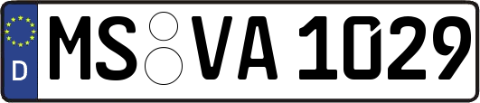 MS-VA1029