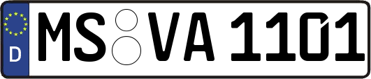 MS-VA1101