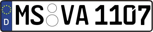 MS-VA1107