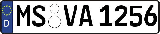 MS-VA1256