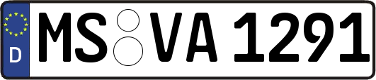 MS-VA1291