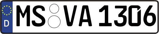 MS-VA1306