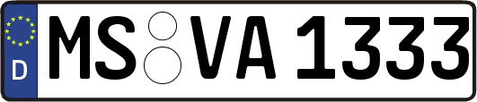 MS-VA1333