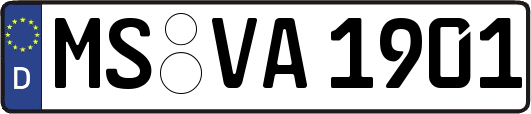 MS-VA1901