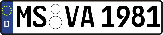 MS-VA1981