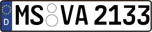 MS-VA2133