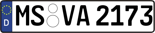 MS-VA2173