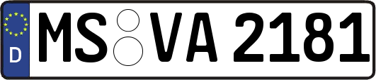 MS-VA2181