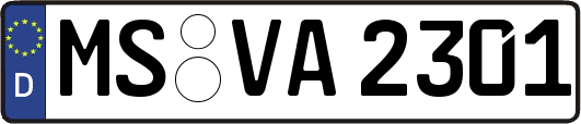 MS-VA2301