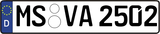 MS-VA2502