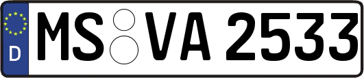MS-VA2533