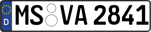 MS-VA2841