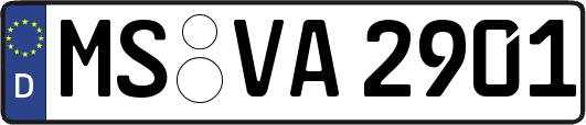 MS-VA2901