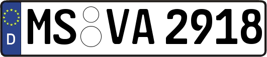 MS-VA2918