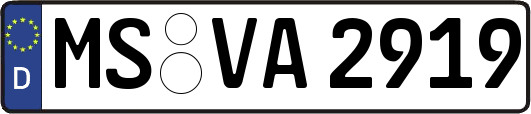 MS-VA2919