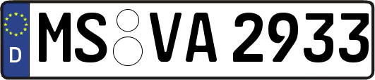 MS-VA2933