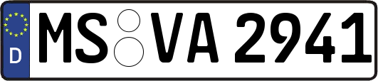 MS-VA2941