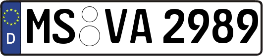 MS-VA2989