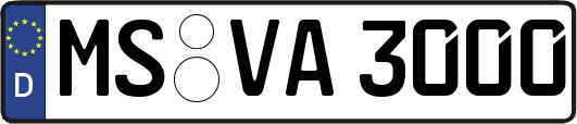 MS-VA3000