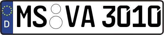 MS-VA3010