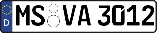 MS-VA3012