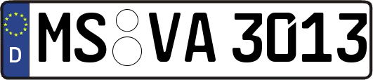 MS-VA3013