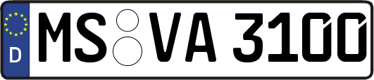 MS-VA3100