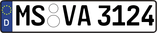 MS-VA3124