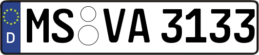 MS-VA3133
