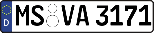MS-VA3171