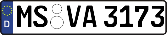 MS-VA3173