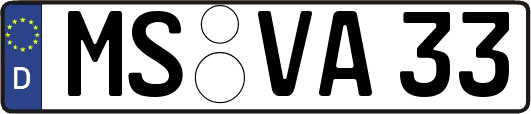 MS-VA33