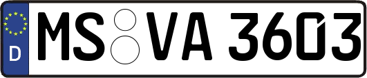 MS-VA3603