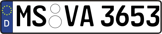 MS-VA3653