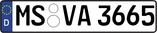 MS-VA3665