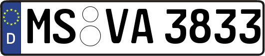 MS-VA3833