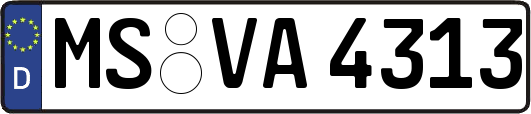 MS-VA4313