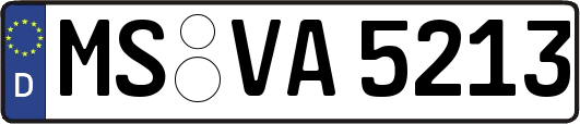 MS-VA5213