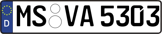 MS-VA5303