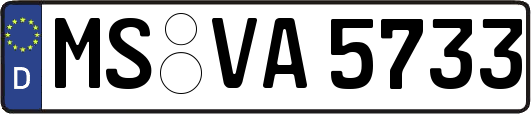 MS-VA5733